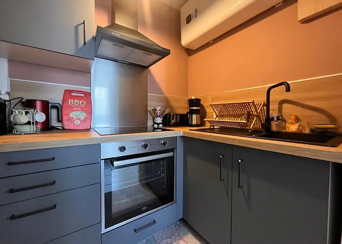 Apartment Cosy 4 Pers A 50m De La Et Du Marche, Centre-ville Des Sables-d'olonne - Fr-1-197-562 *